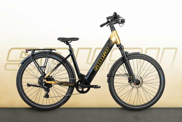 Das im eigenen Haus designte E-Bike aus dem Weinviertel. | Foto: spusu