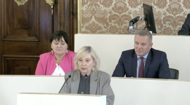 "Das Land ist kein Unternehmen und kann nicht wie eines geführt werden", betonte KPÖ-Klubobfrau Claudia Klimt-Weithaler. | Foto: Land Steiermark/Stream