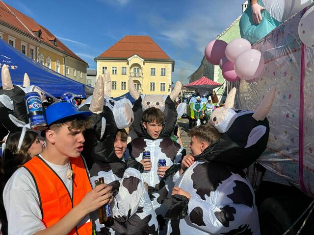 Foto: Faschingsgilde St. Veit/Glan