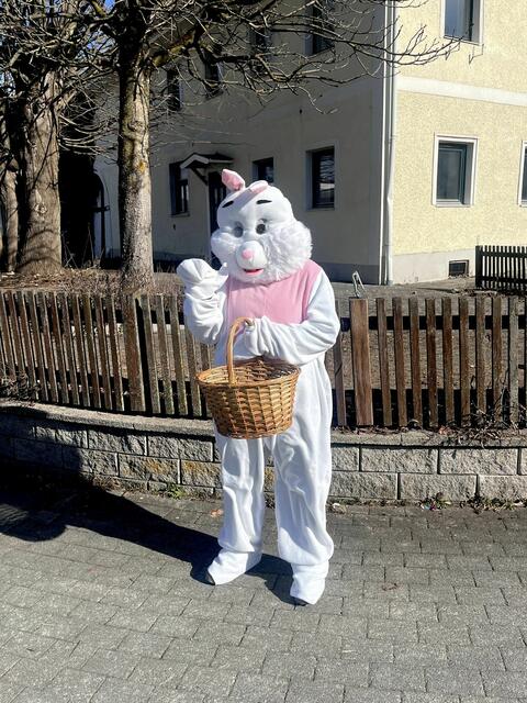 Foto: Peter SOMMER FOTOPRESS