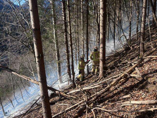 Am Donnerstag am Nachmittag brach aus unbekannter Ursache ein Böschungsbrand entlang der Achenseebahn bei Jenbach aus. Aufgrund von Wind und Trockenheit breitete sich der Brand schnell aus. | Foto: ZOOM.TIROL