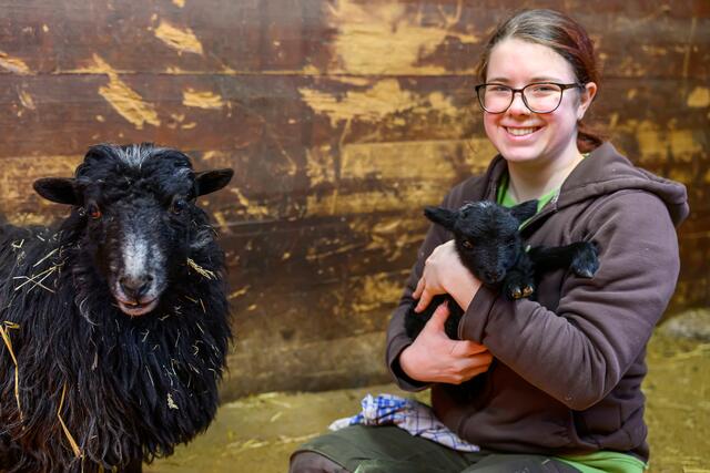 Im Welser Tiergarten sind die Babys los: Im ältesten Zoo Oberösterreichs gibt es auch heuer wieder tierischen Nachwuchs zu sehen. | Foto: Stadt Wels