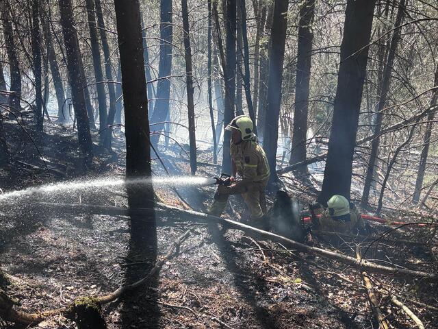Am Donnerstag am Nachmittag brach aus unbekannter Ursache ein Böschungsbrand entlang der Achenseebahn bei Jenbach aus. Aufgrund von Wind und Trockenheit breitete sich der Brand schnell aus. | Foto: ZOOM.TIROL