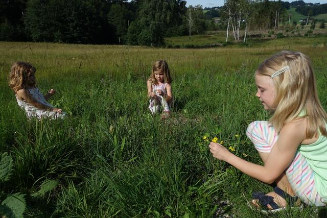 Der "Aufblühn"-Wettbewerb geht in die nächste Runde. | Foto:  Ingrid Eichberger