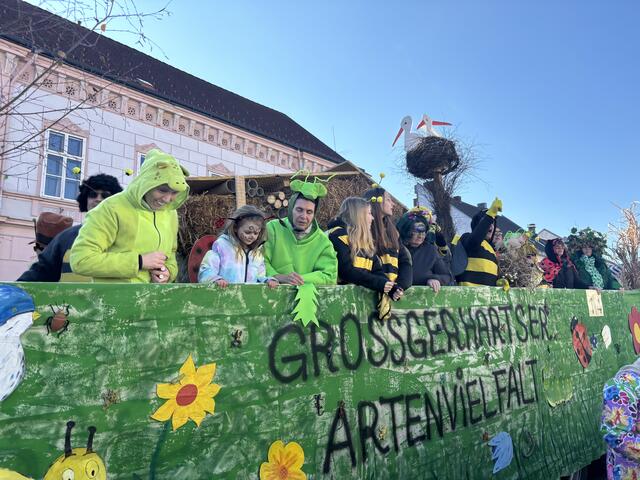 Der Faschingsumzug 2025 mit mehr als 55 Gruppen konnte sich sehen lassen. | Foto: Daniel Schmidt