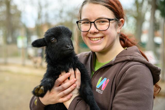Im Welser Tiergarten sind die Babys los: Im ältesten Zoo Oberösterreichs gibt es auch heuer wieder tierischen Nachwuchs zu sehen. | Foto: Stadt Wels