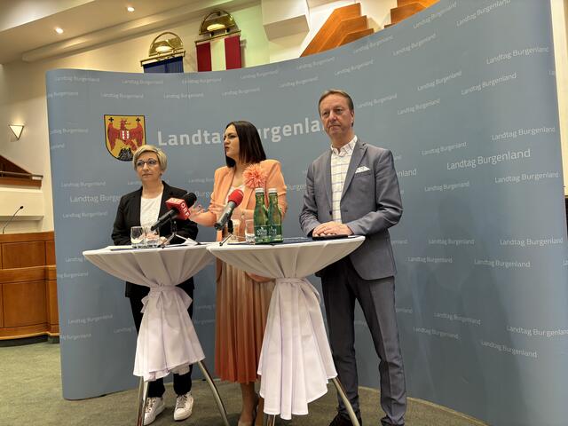 Schlager, Eisenkopf und Tschürtz bei ihrer Antrittspressekonferenz am Freitag | Foto: Tscheinig