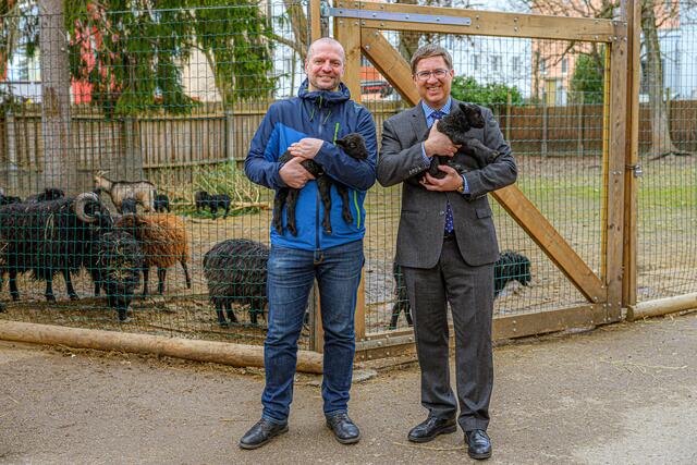 (v. r.) Der Welser Bürgermeister Andreas Rabl und Tiergarten-Referent Stadtrat Thomas Rammerstorfer bei ihrem alljährlichen Vorfrühlings-Besuch samt artgerechten Mitbringseln. | Foto: Stadt Wels