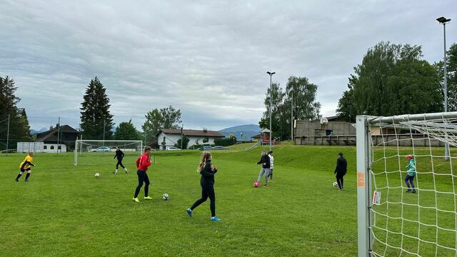 Die Spielerinnen beim Training. Pitterka will heuer vier Trainings pro Woche anbieten, natürlich auf freiwilliger Basis. | Foto: One Ball for all