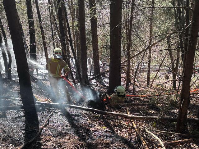 Am Donnerstag am Nachmittag brach aus unbekannter Ursache ein Böschungsbrand entlang der Achenseebahn bei Jenbach aus. Aufgrund von Wind und Trockenheit breitete sich der Brand schnell aus. | Foto: ZOOM.TIROL