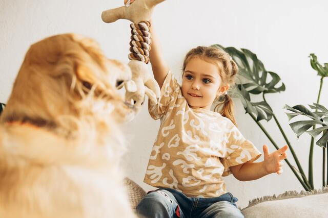 Das Motto in diesem Schuljahr lautet "Tierwohl im Alltag." (Symbolfoto) | Foto: stock.adobe.com/at/Maria Vitkovska