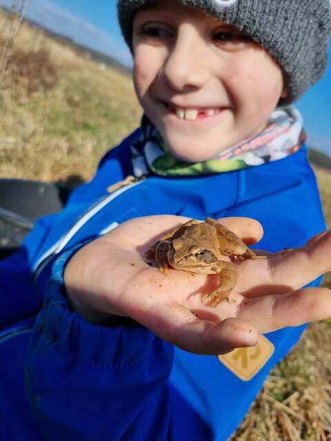 Stolz zeigt Moritz Erdkröte und Springfrosch. | Foto: Anna Kaufmann