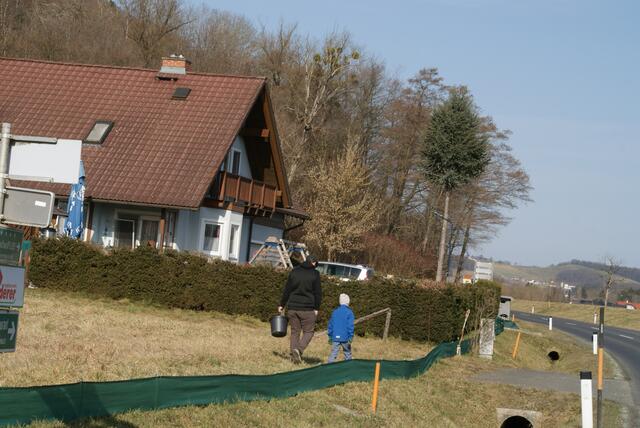 Der Amphibien-Schutzzaun wird täglich gewartet. | Foto: Anna Kaufmann