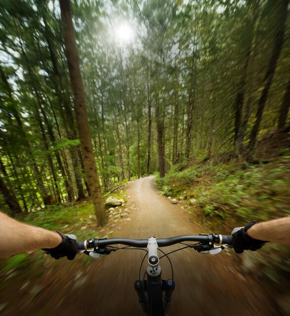 In Lockenhaus wird am 15. März der neue Skillpark eröffnet. | Foto: Burgenland Tourismus_iStock