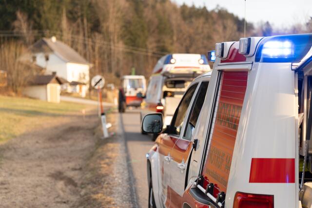 Foto: TEAM FOTOKERSCHI / MARTIN SCHARINGER