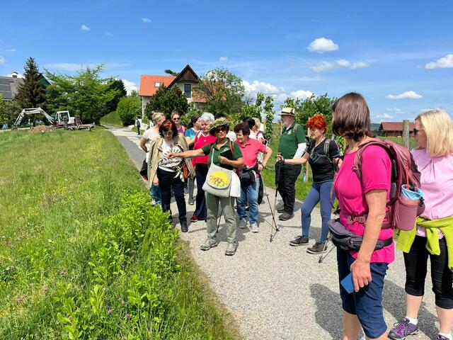Maria und Kurt Irnberger erklären heimische Kräuter und geben Tipps zu deren Einsatz in Küche und Wohlbefinden. | Foto: privat