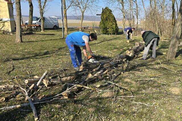 Die fleißigen Helfer bei der Arbeit – abgestorbene Bäume wurden sicher entfernt. | Foto: ÖKB Hollabrunn