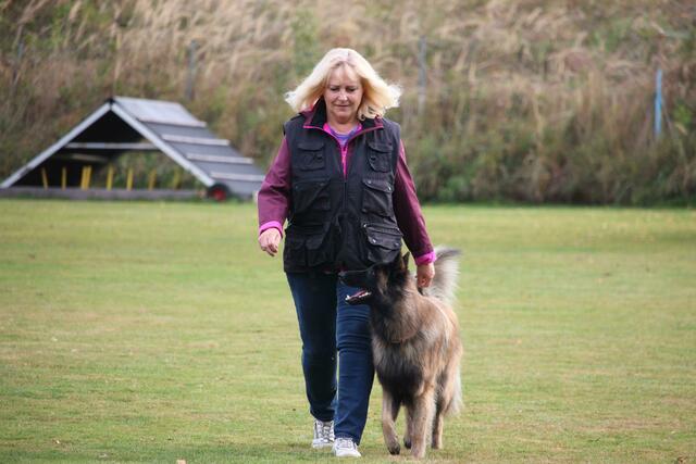Der Verein organisiert Prüfungen. (Symbolbild) | Foto: Michael Rössler