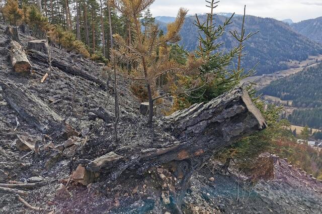 Schwieriges Gelände erschwerte die Löscharbeiten. | Foto: FF Dietmanns