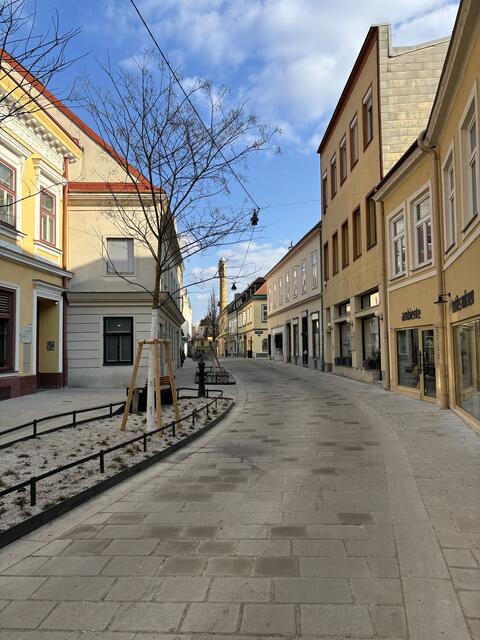 Die neugestaltete Altgasse wird am 27. März offiziell eröffnet.  | Foto: Lisa Kammann/MeinBezirk