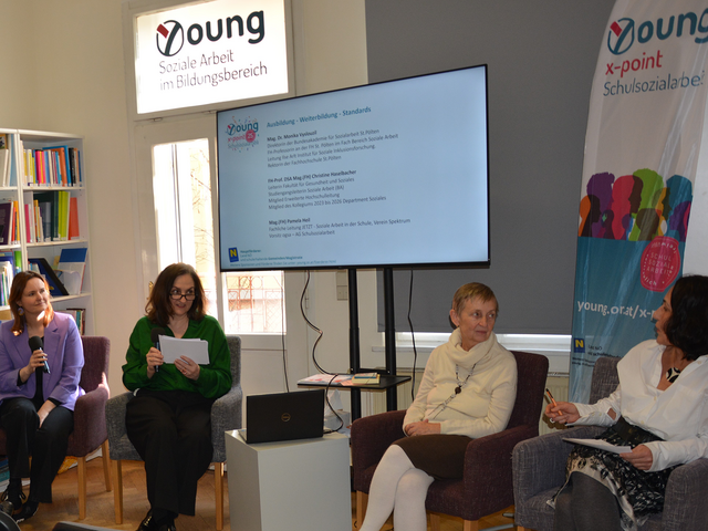 Es wurde über Ausbildung, Weiterbildung, Standards und Rahmenkonzepte gesprochen. | Foto: YOUNG