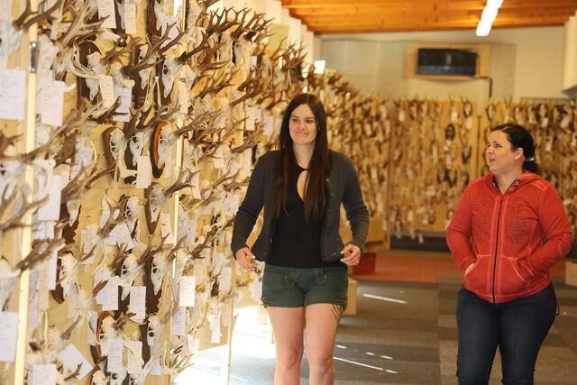 Foto: Johann Schleich