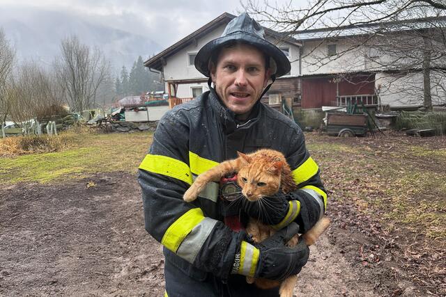 Heute kam es zu einer Katzenrettung, in Möderndorf. | Foto: FF Hermagor
