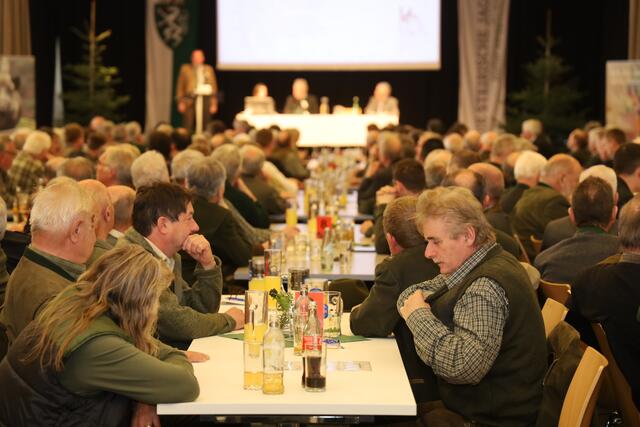 Foto: Johann Schleich