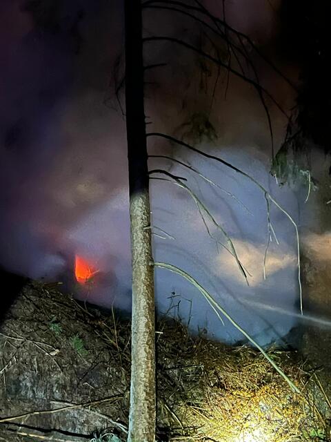 Waldbrand im Bereich des Packer Stausees, die Bäume standen bis zu vier Metern Höhe in Brand. | Foto: BFV Voitsberg