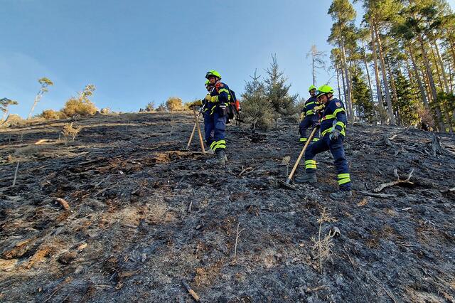 Nachlöscharbeiten auf abgebrannten Flächen | Foto: FF Karlstein
