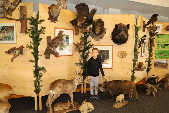 Für Jugendliche und Kinder war die Wildtiersonderausstellung in Leitersdorf ein besonderes Erlebnis. | Foto: Johann Schleich