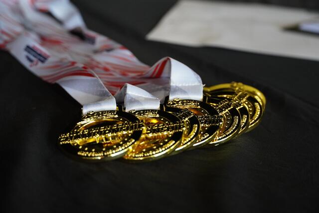 Acht Medaillen durften die Pongauer mit nach Hause nehmen. (Symbolbild) | Foto: Nicole Hettegger