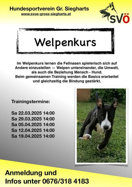 Welpenkurs | Foto: SVÖ Groß Siegharts