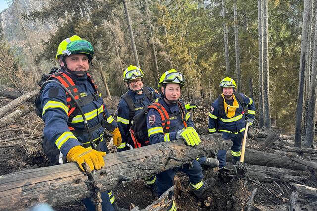 Die Dietmannser Feuerwehr im Einsatz in unwegsamen Gelände. | Foto: FF Dietmanns