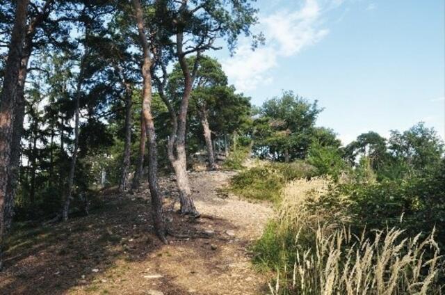 Buch übers Mostviertel: Vom Ötscher bis zur Donau wandern. | Foto: Franz Wille