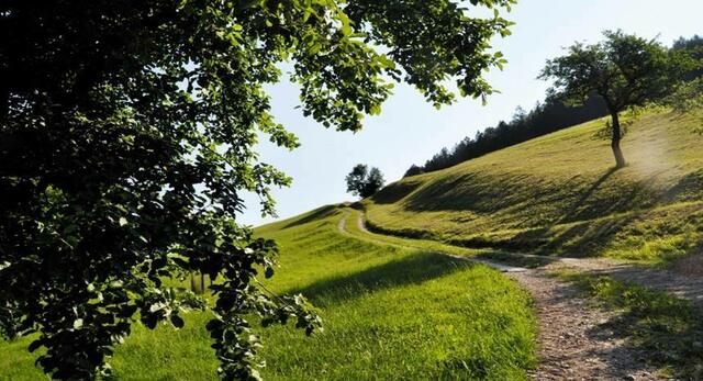 Buch übers Mostviertel: Vom Ötscher bis zur Donau wandern. | Foto: Franz Wille