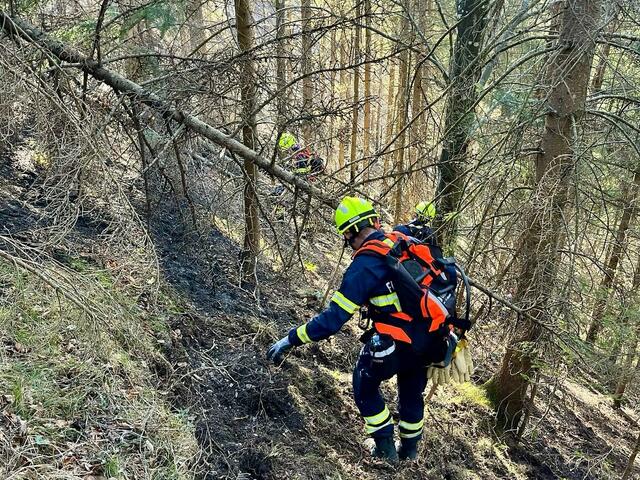 Foto:  Freiwillige Feuerwehr Weidling, SID-Team LFV NÖ