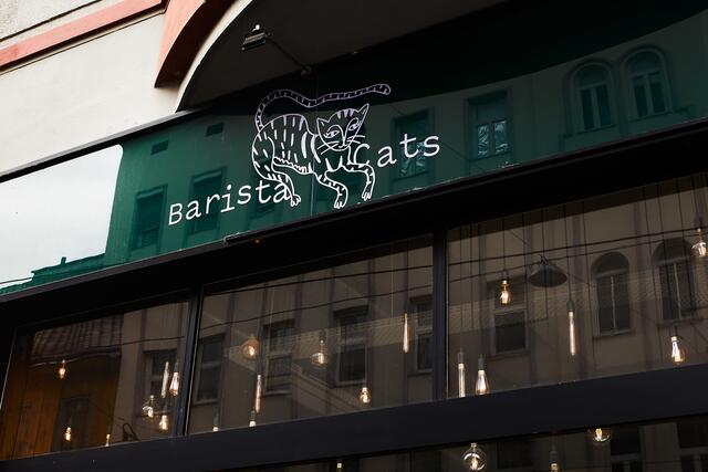 Mit der Schließung wird auch der Standort aufgegeben. Im 7. Bezirk möchte die Lokalbetreiberin aber weiterhin bleiben.  | Foto: Barista Cats