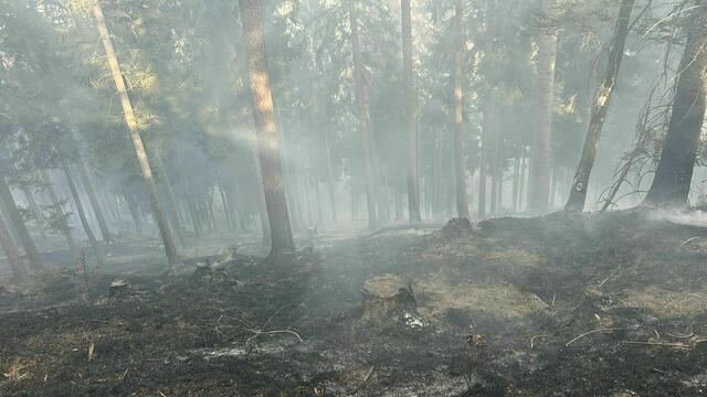 Foto: www.einsatzdoku.at