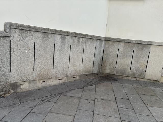 Die Anrainerinnen und Anrainer wünschen sich unter anderem, dass eine zusätzliche WC-Anlage aufgestellt wird.  | Foto: Salme Taha Ali Mohamed/MeinBezirk