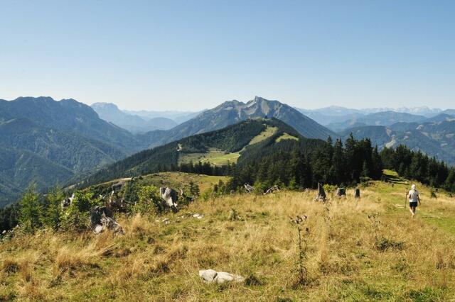 Buch übers Mostviertel: Vom Ötscher bis zur Donau wandern. | Foto: Franz Wille