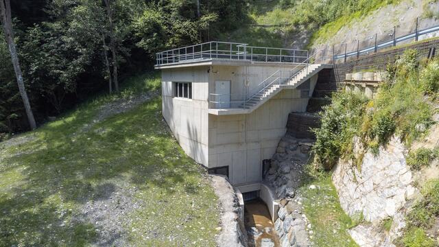 Foto: David Tributsch