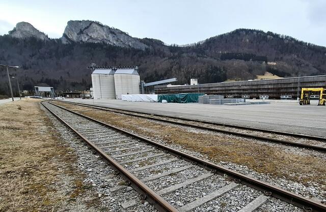 Das Unternehmen binderholz am ehemaligen Solvay-Gelände.
Foto: Josef Wind