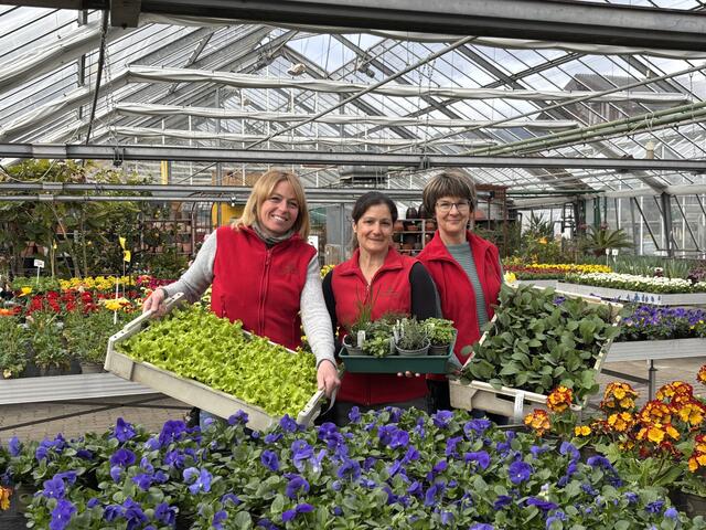 Ob Gemüsepflanzen oder Blumen: Im Frühling steigt die Lust auf Gartenarbeit. | Foto: MeinBezirk