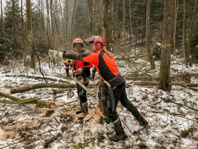 Bei Waldarbeiten sollte immer die Sicherheit im Vordergrund stehen. Dazu gehören auch eine passende Schutzausrüstung und intaktes Werkzeug. Bäume wachsen nicht in den Himmel und nicht über Nacht. Wenn Bäume genügend Platz haben, können sich gesunde und vitale Kronen entwickeln und das bedeutet auch schnelleres Wachstum. | Foto: Bernhard Knaus