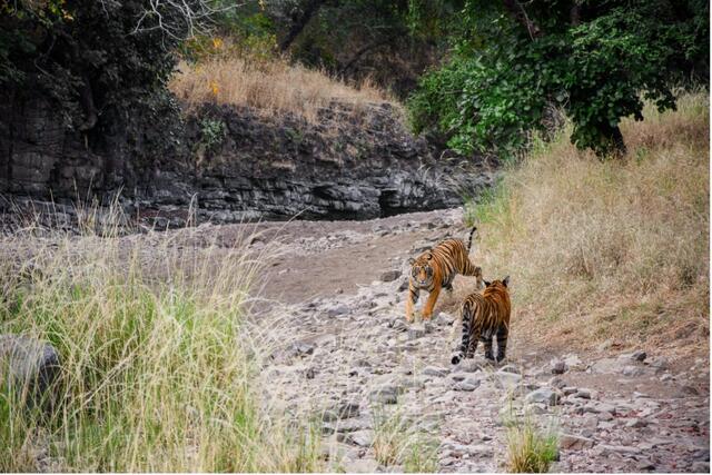 Foto: Foto von Yash Gupta auf Unsplash