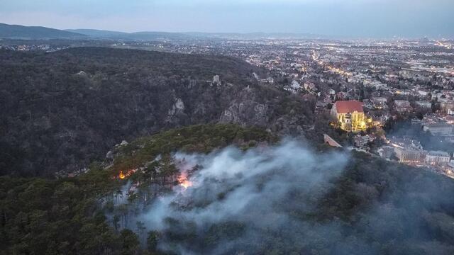 Waldbrand im Mödlinger Stadtwald im Jahr 2021. | Foto: ffmoedling.at/Archiv