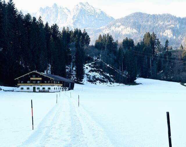 Kampf der Argumente vor der Volksbefragung zum Gewerbegebiet Unterbürg in St. Johann. | Foto: Kogler