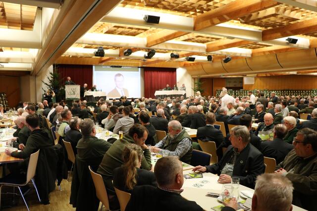 Foto: Georg Mair