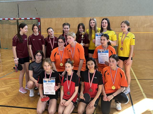 Die erfolgreichen Teilnehmerinnen des Turniers | Foto: SportMS Tulln